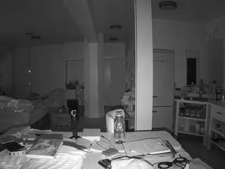 voyeurcam-celticiron-02