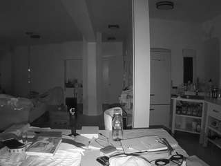 voyeurcam-celticiron-02