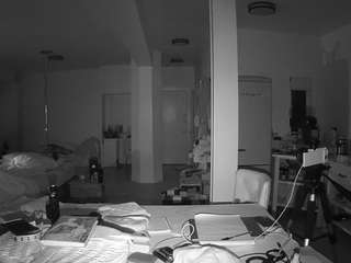 voyeurcam-celticiron-02