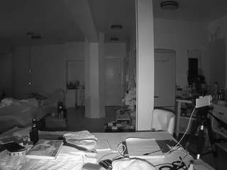 voyeurcam-celticiron-02