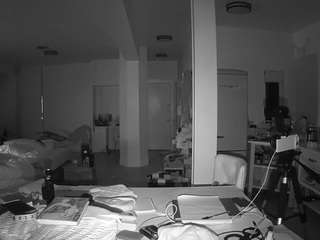 voyeurcam-celticiron-02