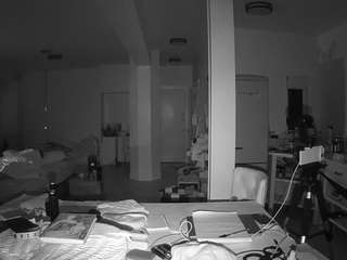 voyeurcam-celticiron-02