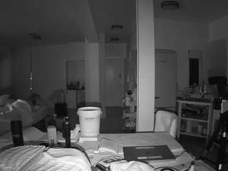 voyeurcam-celticiron-02