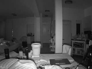 voyeurcam-celticiron-02