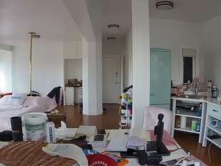 voyeurcam-celticiron-02