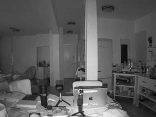 voyeurcam-celticiron-02