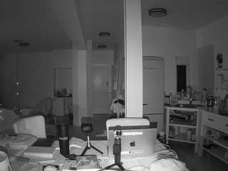 voyeurcam-celticiron-02