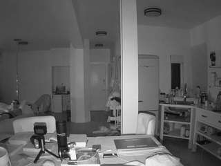 voyeurcam-celticiron-02