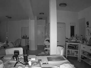 voyeurcam-celticiron-02