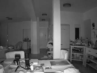 voyeurcam-celticiron-02