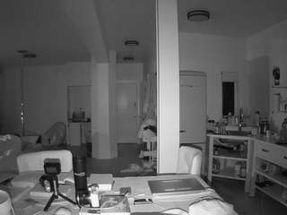 voyeurcam-celticiron-02