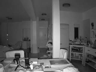 voyeurcam-celticiron-02