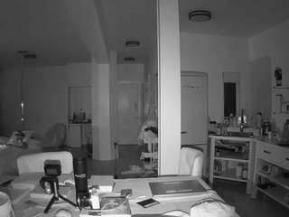 voyeurcam-celticiron-02