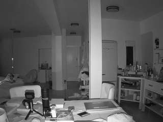 voyeurcam-celticiron-02