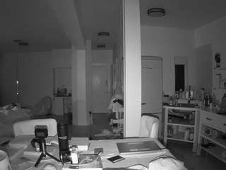 voyeurcam-celticiron-02