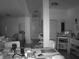 voyeurcam-celticiron-02