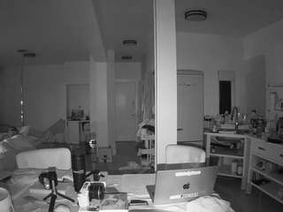 voyeurcam-celticiron-02