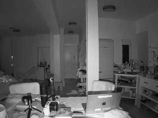 voyeurcam-celticiron-02