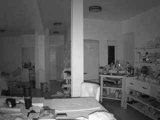 voyeurcam-celticiron-02