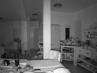 voyeurcam-celticiron-02