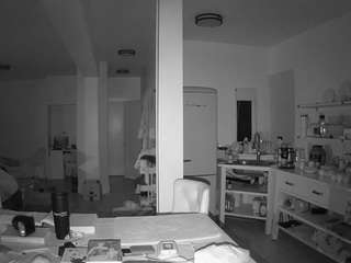 voyeurcam-celticiron-02 webcam