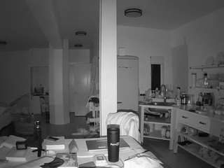 voyeurcam-celticiron-02