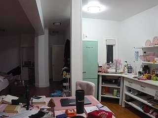 voyeurcam-celticiron-02