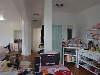 voyeurcam-celticiron-02