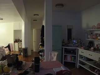 voyeurcam-celticiron-02