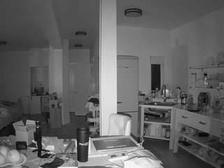 voyeurcam-celticiron-02