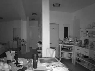 voyeurcam-celticiron-02