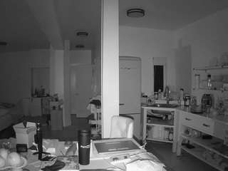 voyeurcam-celticiron-02