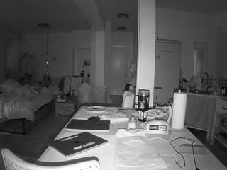 voyeurcam-celticiron-02