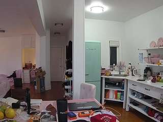 voyeurcam-celticiron-02