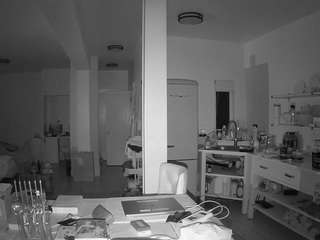 voyeurcam-celticiron-02