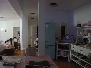 voyeurcam-celticiron-02