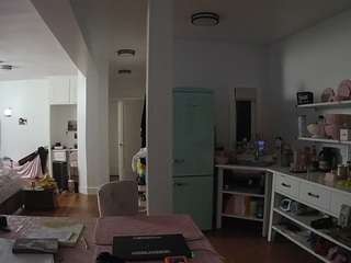 voyeurcam-celticiron-02