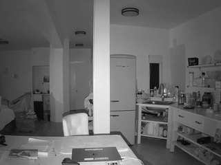 voyeurcam-celticiron-02