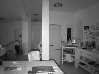 voyeurcam-celticiron-02