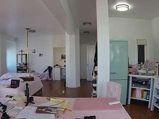 voyeurcam-celticiron-02