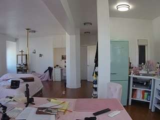 voyeurcam-celticiron-02