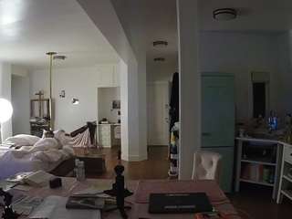 voyeurcam-celticiron-02