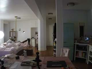 voyeurcam-celticiron-02