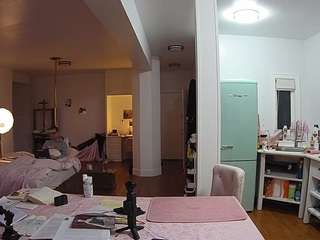 voyeurcam-celticiron-02