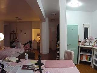 voyeurcam-celticiron-02