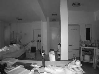 voyeurcam-celticiron-02