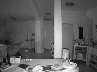 voyeurcam-celticiron-02