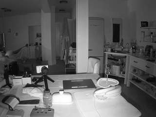 voyeurcam-celticiron-02