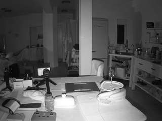 voyeurcam-celticiron-02