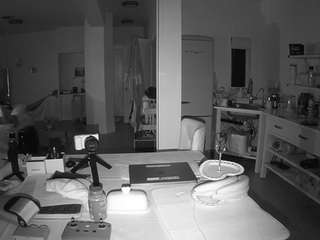 voyeurcam-celticiron-02